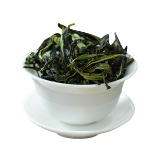 凤凰单枞茶雪片抽湿大乌叶绿茶潮汕凤凰单丛乌龙茶鸭屎香凤凰单纵