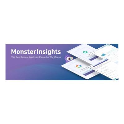 MonsterInsights Pro WP插件 Google Analytics统计分析插件