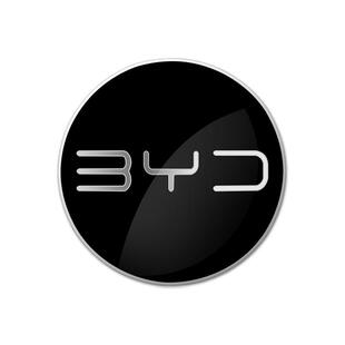 22-25款比亚迪海豹05dmi06gt海狮05EV海豚海鸥车标方向盘标轮毂贴