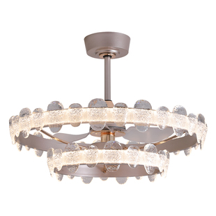 客厅风扇灯现代简约轻奢家用护眼大厅灯带电风扇一体智能语音灯具