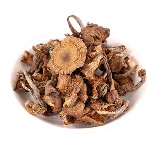 东北榛蘑2025年新货农家干货小鸡炖蘑菇山货特产营养菌菇非香菇