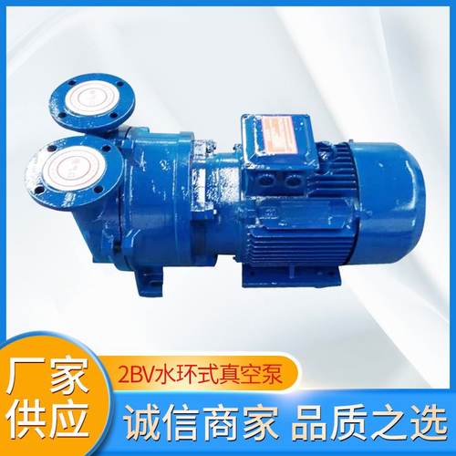 2BV系列水环真空泵 铸铁不锈钢真空泵配套罗茨机组真空泵