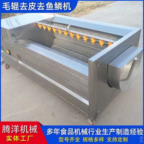 果蔬清洗机 土豆生姜去皮机 莲藕马蹄去泥设备毛刷清洗机设备定制