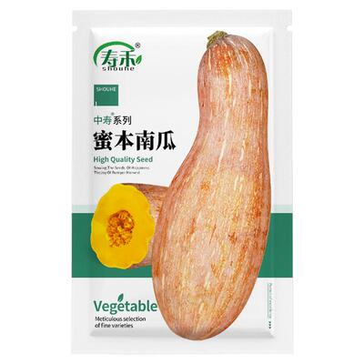 食用香甜早熟蔬菜孑纯种蜜本南瓜