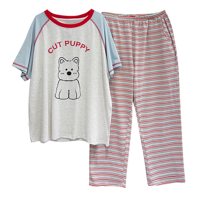 女纯棉韩版春夏季短袖睡衣睡裙