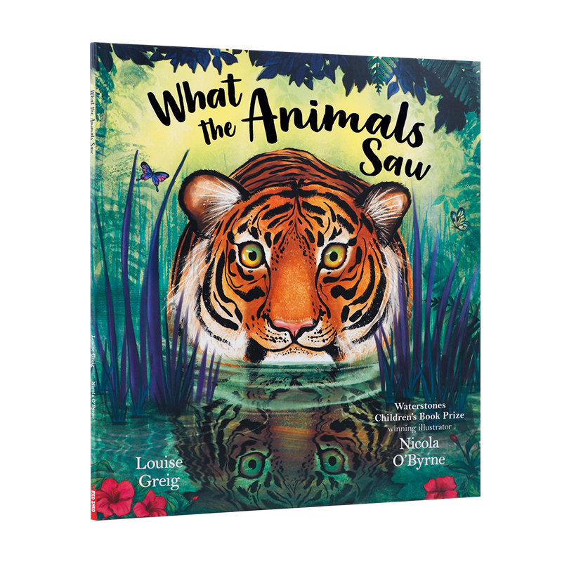 英文原版进口动物们看到了什么What the Animals Saw动物主题图画书 低幼儿童英语启蒙认知绘本 帮助宝宝识别动物亲子共读读物
