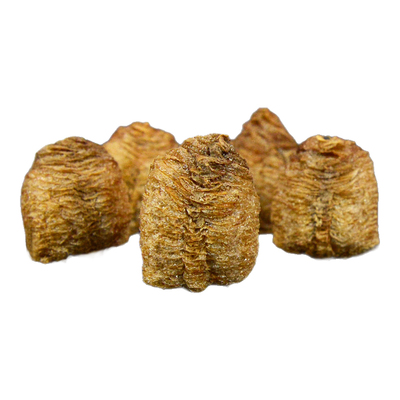 桑螵蛸中药材正品螳螂蛋刀螂子