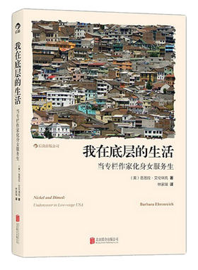 后浪我在底层的生活纪实文学