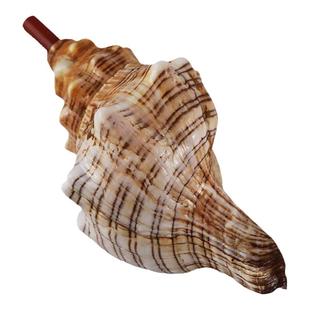 【螺贝艺】天然海螺号喇叭口哨超大海螺壳贝壳哨子儿童玩具小螺号