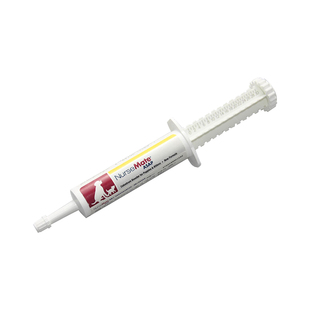 美国添赐力牛初乳猫咪狗狗增强免疫力增强体质存活率高免疫因子