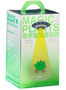 创意盆栽礼盒懒人植物星兜多肉
