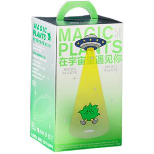 神奇植物星兜多肉仙人球桌面办公室内四季耐养懒人植物创意礼物