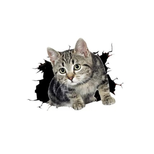 3D立体小猫汽车贴纸创意个性可爱搞怪猫咪遮挡车身车尾划痕刮痕贴