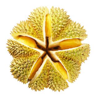 顺丰上门【榴莲之光】新鲜金枕榴莲泰国新鲜金枕头榴莲整果现货