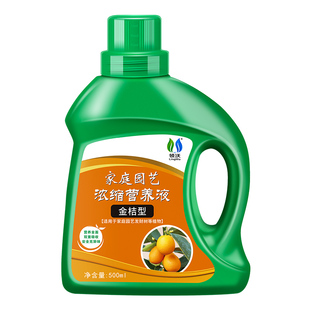 金桔树专用盆栽肥料营养液金橘树苗绿植室内通用型改善黄叶不结果