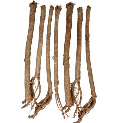 鲜黄芪现挖现发正品特级500g泡水中药材正北芪黄氏党参官方旗舰店