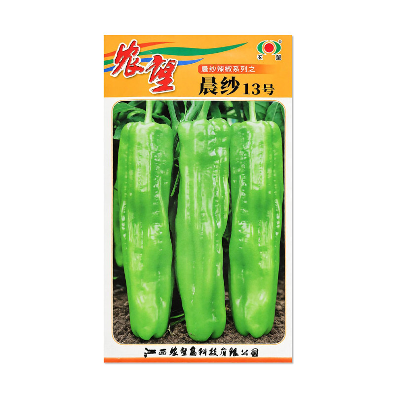 农望晨纱13号辣椒种子