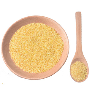 有机黄小米2025年新米辽宁建平金苗k1有机小米杂粮优质农家当季