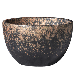 个性潮玩象足漆树断崖女王铁甲丸块根植物桌面透气龟甲龙花盆多孔