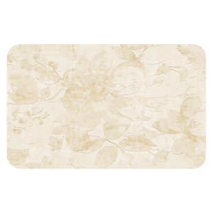 硅藻泥脚垫子吸水防滑速干软地垫浴室卫生间门口洗手间厕所小地毯