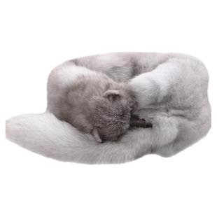 整只狐狸毛围巾 整条皮毛披肩狐狸皮草围脖冬季男女通用 真皮真毛