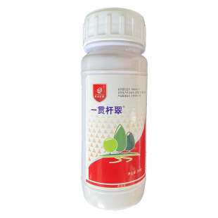 一贯杆翠琳海根灌杀虫剂根灌蛀虫净天牛幼虫吉丁虫蚜虫食叶虫叶蝉