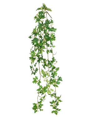 绿植道具场景布置装饰墙壁垂挂