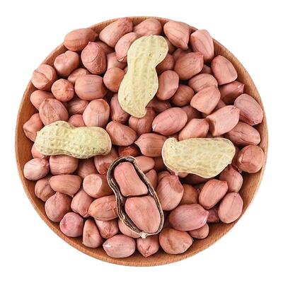 2025年新鲜带壳生花生晒干高产早熟花生种籽人工手剥粉红皮花生米