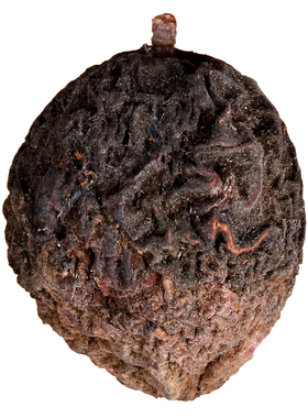 桃枭桃篮朱砂平安扣绳宝宝防惊吓儿童桃木护身符压婴儿红绳手链串