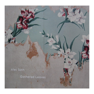 【现货】Alec Soth摄影集 聚集的叶子 Gathered Leaves 英文原版人文自然风光摄影作品集书籍进口艺术画册 埃里克·索斯/艾克索思