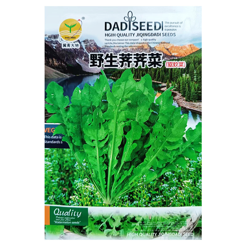 野生荠荠菜种子春秋播种菜园盆栽耐寒种籽大叶天然野菜蔬菜籽种孑