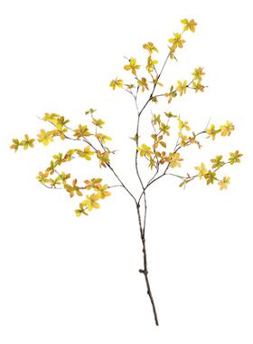 仿真植物秋色橘红吊钟