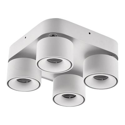 全光谱调光调色中性光天猫精灵