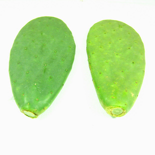 正宗米邦塔新鲜可食用仙人掌药用外敷煮水内服绿色蔬菜可美容灌肤