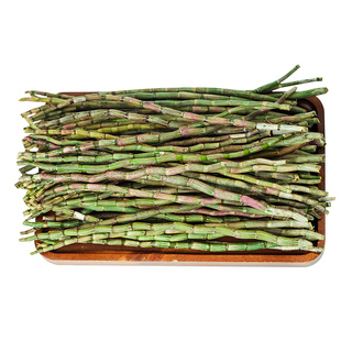 乐清雁荡山铁皮石斛新鲜条铁皮枫斗四年生霍山石斛产地直销500克