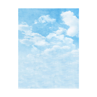 影楼室内拍照蓝天白云风景照相馆摄影直播3D写真背景布挂布包邮