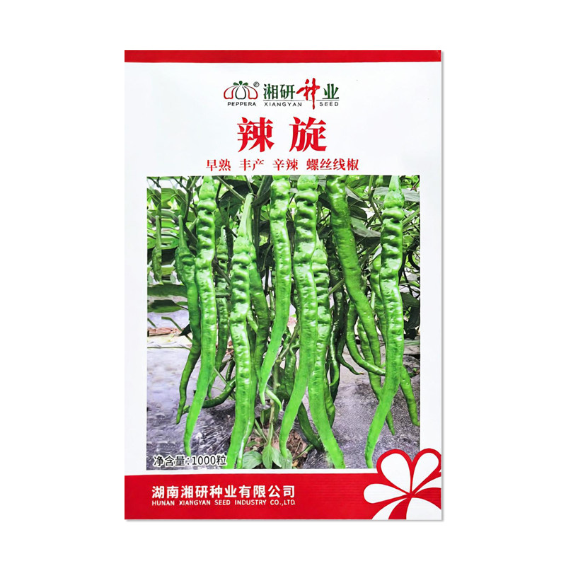 湘研辣旋辣椒种子螺丝线椒种子