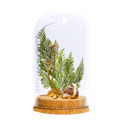 礼盒摆件清新蕨叶生日礼物