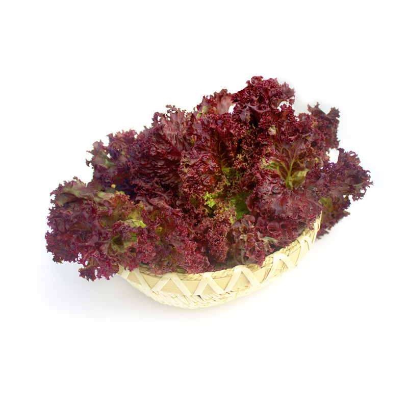 新鲜红叶生菜250g西餐沙拉蔬菜