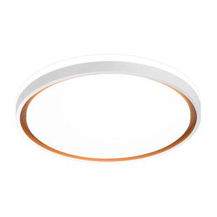 雷士照明led吸顶灯家用卧室灯百搭灯具现代简约客厅灯房间灯