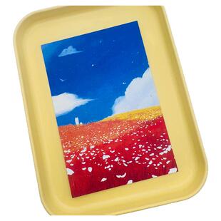 「阿金和JOJO」原创双面明信片手帐贺卡闪砂手绘 我们的世界 绘本