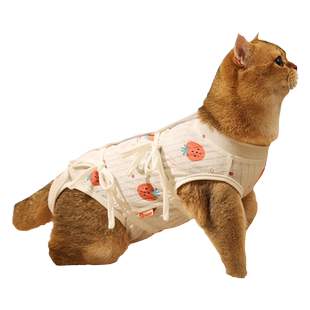 猫咪绝育服母猫手术后衣服宠物猫猫术后防舔公猫断奶小猫节育用品