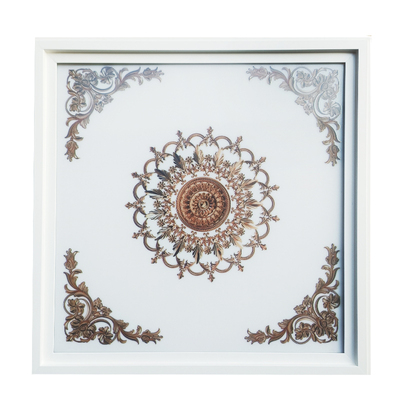 松帝好太太led灯集成吊顶扣板灯