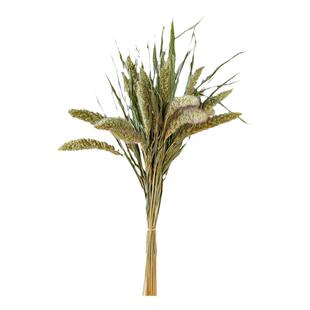 云南天然干花真花熊尾谷穗日式小清新橱窗布置客厅装饰摆件干燥花