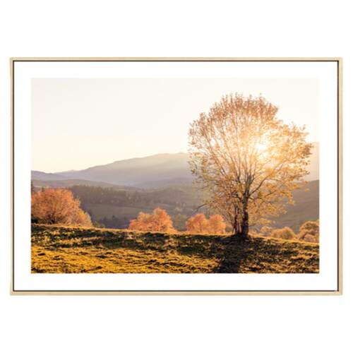 秋天树林装饰画客厅沙发背景墙餐厅卧室现代风景壁画北欧轻奢挂画