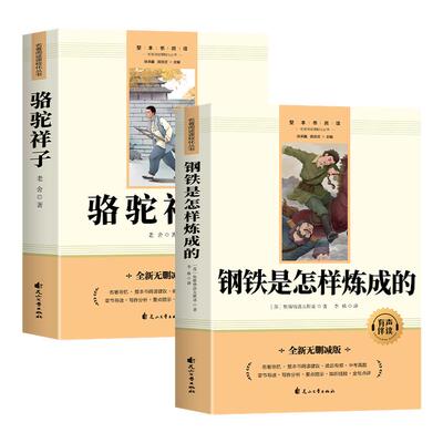 骆驼祥子和钢铁是怎样炼成的