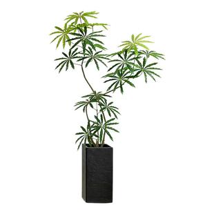 假绿植装饰仿真孔雀木室内盆栽大型落地摆件客厅轻奢仿生植物造景