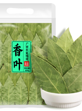 广西优质香叶月桂叶500g特级新货