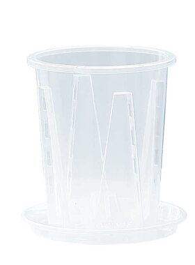 蝴蝶兰盆花盆侬花村塑料透明简约