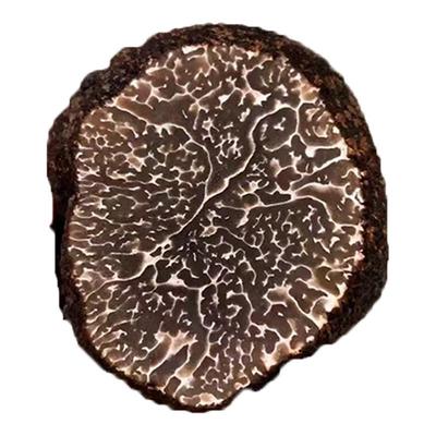 云南野生新鲜松露黑松露